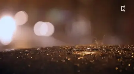 (Fr5) L'art de la pluie (2014)