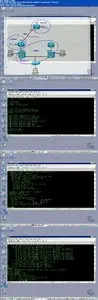 VTC - Troubleshooting and Maintaining Cisco IP Networks (642-832 TSHOOT)