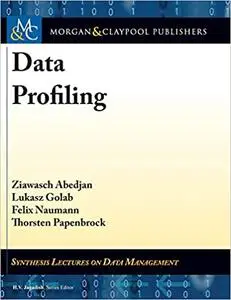 Data Profiling