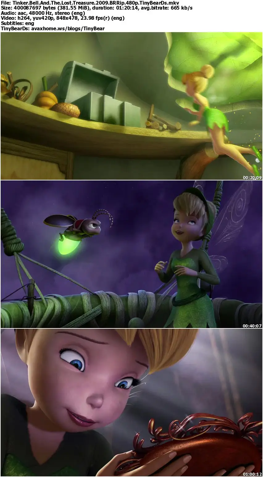Tinker Bell And The Lost Treasure (2009) .