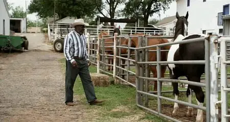 Cowgirls n' Angels (2012)