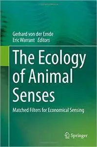 The Ecology of Animal Senses: Matched Filters for Economical Sensing