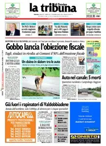 LA TRIBUNA DI TREVISO 22 GIUGNO 2010
