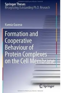 Formation and Cooperative Behaviour of Protein Complexes on the Cell Membrane  [Repost]