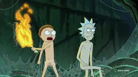 Rick and Morty S05E06