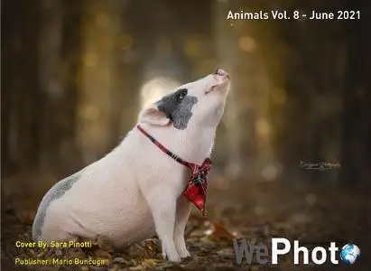 WePhoto Animals - Vol. 8 June 2021