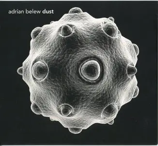Adrian Belew - Dust (2014)