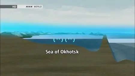 NHK Great Nature - The Miracle of the Creation of Ice: Sakhalin (2014)
