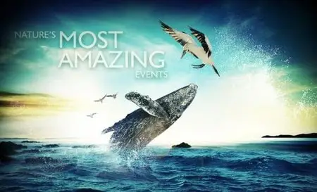 Nature's Most Amazing Events S01E01