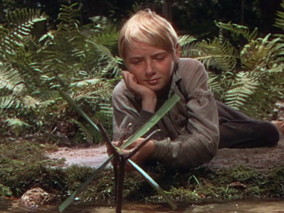 The Yearling (1946) - Clarence Brown