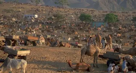 Powaqqatsi (1988)