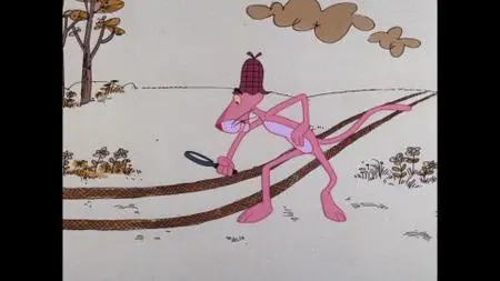 The Pink Panther Cartoon Collection: Volume 5 (1976-1978)