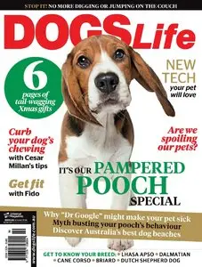 Dogs Life – November-December 2014