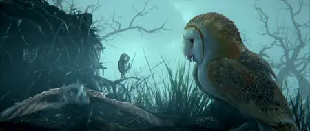 Legend of the Guardians: The Owls of Ga'Hoole / Die Legende der Waechter (2010)