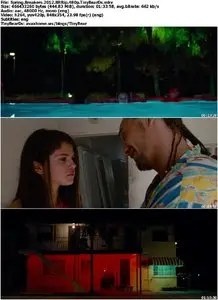 Spring Breakers (2012) [Reuploaded]