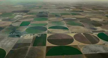 Watermark (2013)
