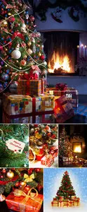 Stock Photo - Christmas Tree 2