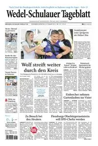 Wedel-Schulauer Tageblatt - 03. August 2019