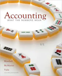 Accounting: What the Numbers Mean (9th Edition) (repost)