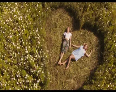 Pieds nus sur les limaces (2010) 