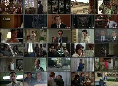 The Professional (1981)
