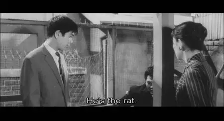 Eclipse Series 17: Nikkatsu Noir (1957-1967) [Tre Criterion Collection] [REPOST]