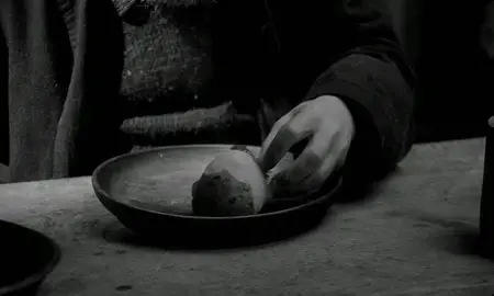 A Torinói ló (2011)