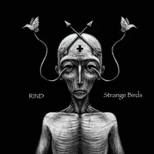 Rind - Strange Birds (2018)