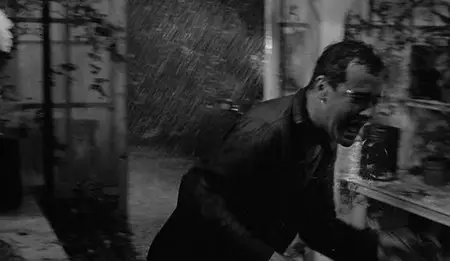 Blake Edwards - Days of Wine and Roses (1962)