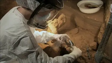 PBS - Caveman Cold Case (2013)