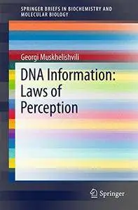 DNA Information: Laws of Perception (SpringerBriefs in Biochemistry and Molecular Biology)