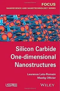 Silicon Carbide One-dimensional Nanostructures