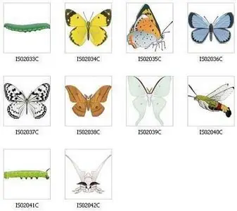 Insects Vector 2