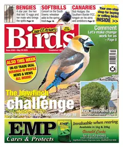 Cage & Aviary Birds - 28 May 2025