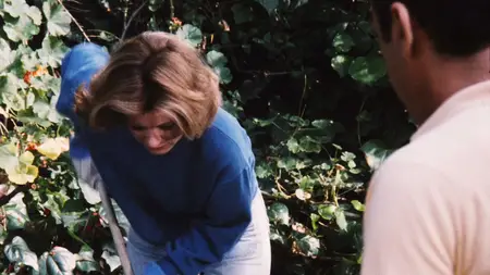 Something So Right (1982)