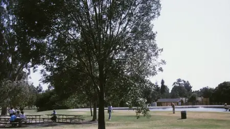 Something So Right (1982)