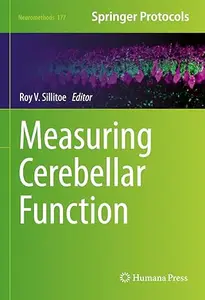 Measuring Cerebellar Function