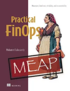 Practical FinOps (MEAP V01)