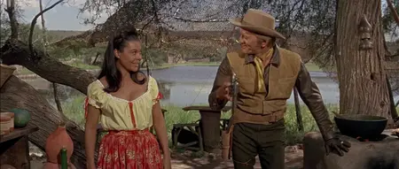 The War Wagon (1967)