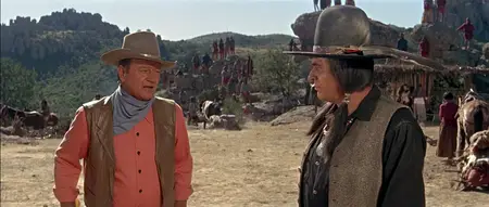 The War Wagon (1967)