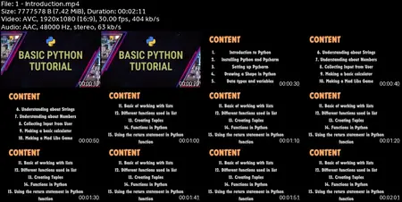 Python for Everyone Master the Basics of Programming