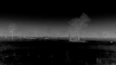 Big Cats S02E03