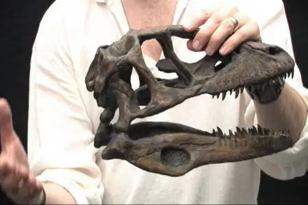 Gnomon - Drawing Dinosaurs Anatomy and Sketching