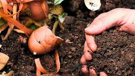 Composting Made Easy