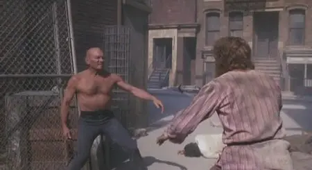 The Ultimate Warrior (1975)