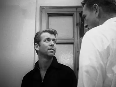 Film Noir: Bringing Darkness to Light (2006)