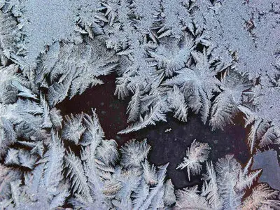 Frost