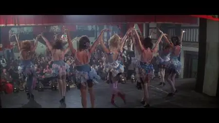 The Duchess and the Dirtwater Fox (1976)