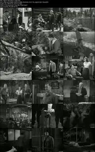 Trail of the Yukon (1949)