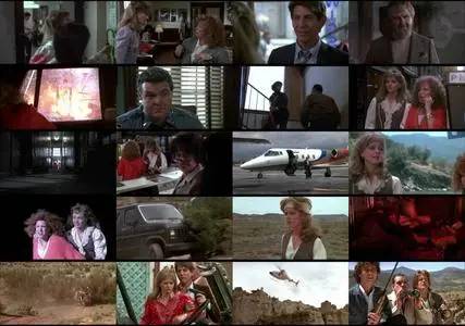 Outrageous Fortune (1987)